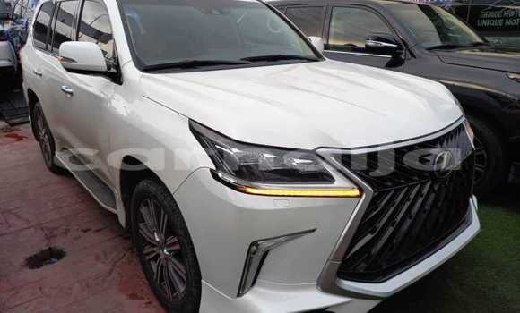 Buy Used Lexus LX 570 White Car in Lagos in Lagos State Buy Used Lexus LX 570 White Car in Lagos in Lagos State