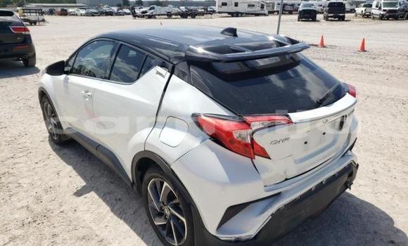 Acheter Neuf Voiture Toyota C-HR Blanc à Badagry, État de Lagos Acheter Neuf Voiture Toyota C-HR Blanc à Badagry, État de Lagos