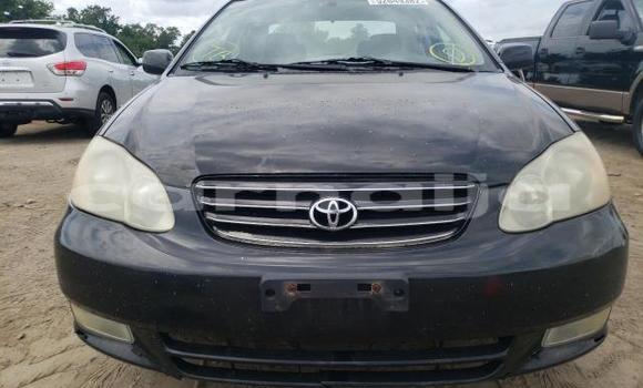 Buy New Toyota Corolla Black Car in Badagry in Lagos State