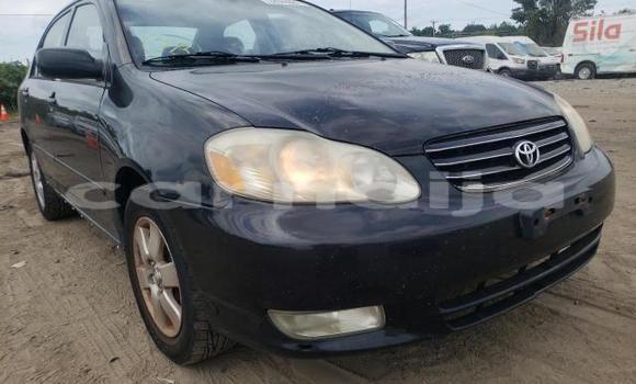 Acheter Neuf Voiture Toyota Corolla Noir à Badagry, État de Lagos Acheter Neuf Voiture Toyota Corolla Noir à Badagry, État de Lagos
