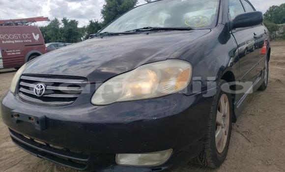 Acheter Neuf Voiture Toyota Corolla Noir à Badagry, État de Lagos Acheter Neuf Voiture Toyota Corolla Noir à Badagry, État de Lagos