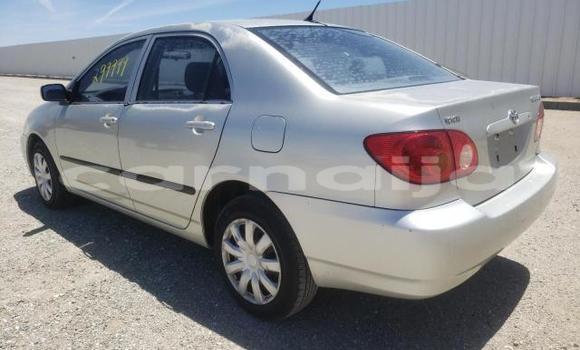 Acheter Neuf Voiture Toyota Corolla Gris à Badagry, État de Lagos Acheter Neuf Voiture Toyota Corolla Gris à Badagry, État de Lagos