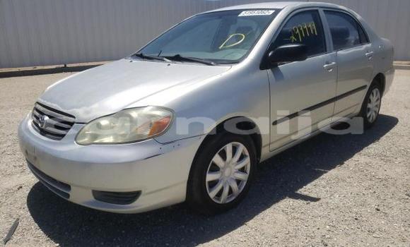 Acheter Neuf Voiture Toyota Corolla Gris à Badagry, État de Lagos Acheter Neuf Voiture Toyota Corolla Gris à Badagry, État de Lagos