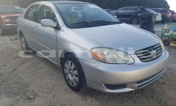 Buy New Toyota Corolla Silver Car in Badagry in Lagos State