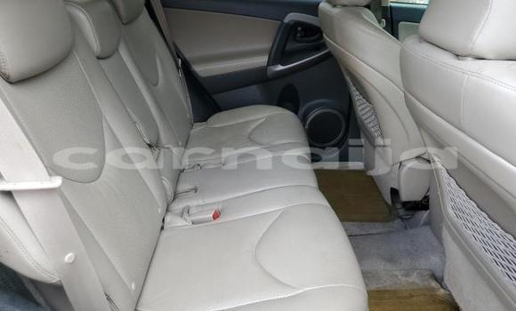 Acheter Neuf Voiture Toyota RAV4 Marron à Badagry, État de Lagos Acheter Neuf Voiture Toyota RAV4 Marron à Badagry, État de Lagos