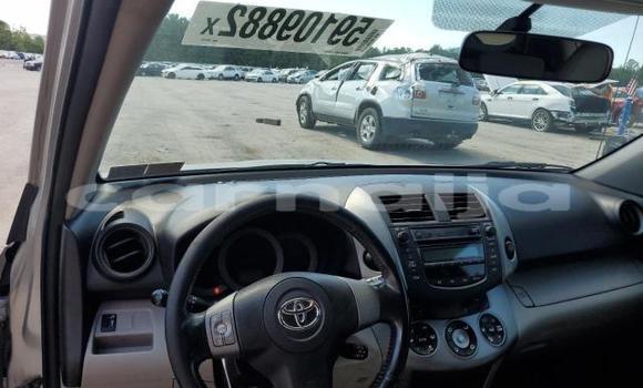 Acheter Neuf Voiture Toyota RAV4 Gris à Badagry, État de Lagos Acheter Neuf Voiture Toyota RAV4 Gris à Badagry, État de Lagos