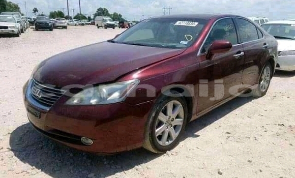Buy New Lexus RX 350 Red Car in Babban Gida in Yobe State Buy New Lexus RX 350 Red Car in Babban Gida in Yobe State