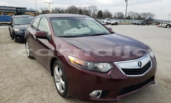 Acheter Neuf Voiture Acura TL Rouge à Port Harcourt, Rivers State Acheter Neuf Voiture Acura TL Rouge à Port Harcourt, Rivers State