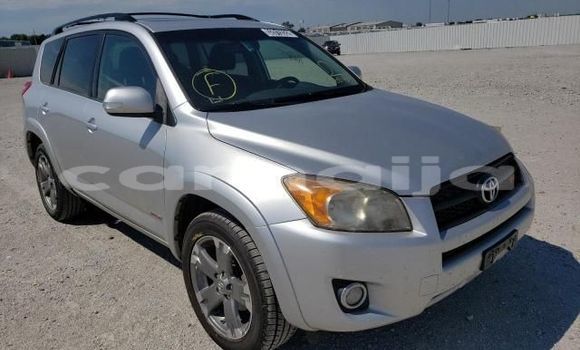 Buy New Toyota RAV4 Silver Car in Abadan in Borno