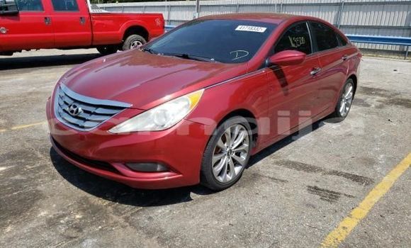 Buy New Acura RDX Red Car in Agbor in Delta State Buy New Acura RDX Red Car in Agbor in Delta State