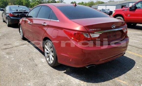 Buy New Acura RDX Red Car in Agbor in Delta State Buy New Acura RDX Red Car in Agbor in Delta State