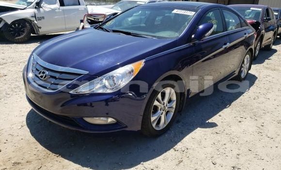 Buy New Hyundai Sonata Blue Car in Akwukwu–Igbo in Delta State