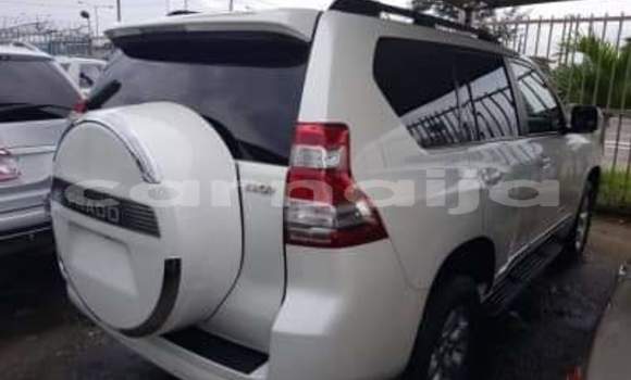 Buy Import Toyota Prado White Car in Daura in Katsina