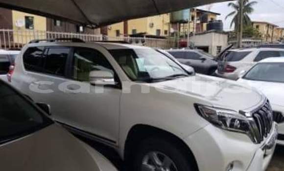 Buy Import Toyota Prado White Car in Daura in Katsina Buy Import Toyota Prado White Car in Daura in Katsina