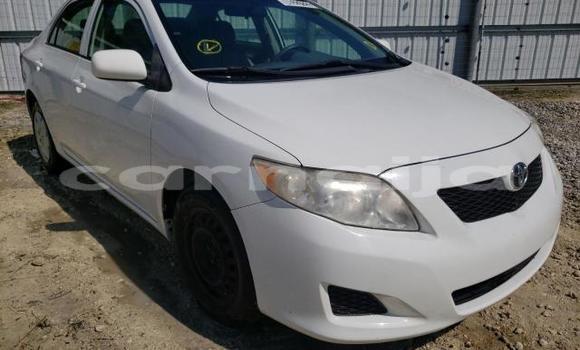 Buy New Toyota Corolla White Car in Badagry in Lagos State