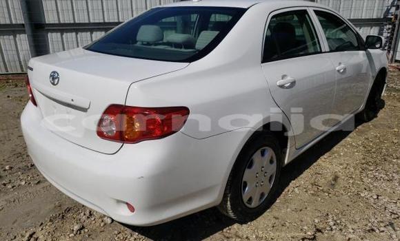 Acheter Neuf Voiture Toyota Corolla Blanc à Badagry, État de Lagos Acheter Neuf Voiture Toyota Corolla Blanc à Badagry, État de Lagos