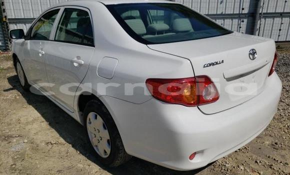 Acheter Neuf Voiture Toyota Corolla Blanc à Badagry, État de Lagos Acheter Neuf Voiture Toyota Corolla Blanc à Badagry, État de Lagos
