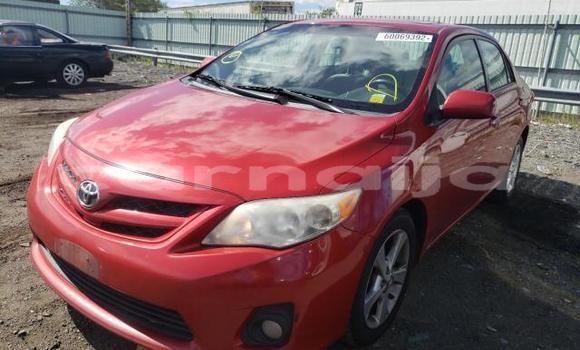 Buy New Toyota Corolla Red Car in Badagry in Lagos State Buy New Toyota Corolla Red Car in Badagry in Lagos State