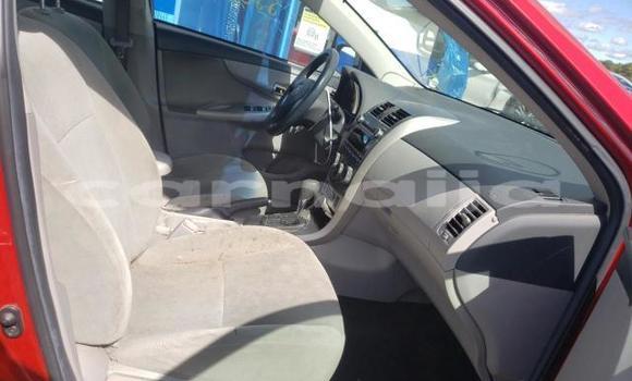 Buy New Toyota Corolla Red Car in Badagry in Lagos State Buy New Toyota Corolla Red Car in Badagry in Lagos State