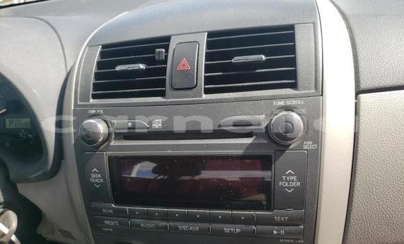 Buy New Toyota Corolla Red Car in Badagry in Lagos State Buy New Toyota Corolla Red Car in Badagry in Lagos State