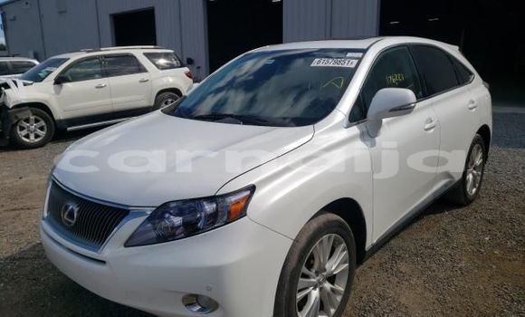 Buy New Lexus RX 350 Silver Car in Port Harcourt in Rivers State