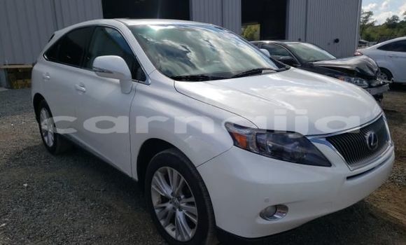 Buy New Lexus RX 350 Silver Car in Port Harcourt in Rivers State Buy New Lexus RX 350 Silver Car in Port Harcourt in Rivers State