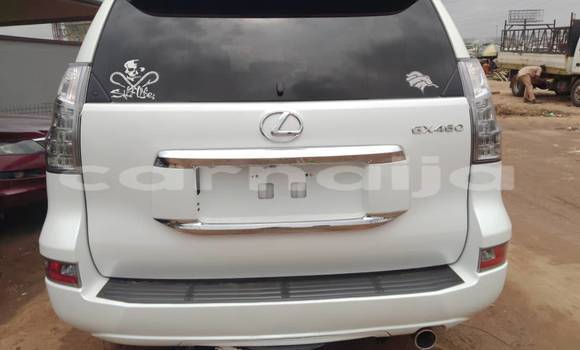 Acheter Occasion Voiture Lexus GX Blanc à Lagos, État de Lagos Acheter Occasion Voiture Lexus GX Blanc à Lagos, État de Lagos