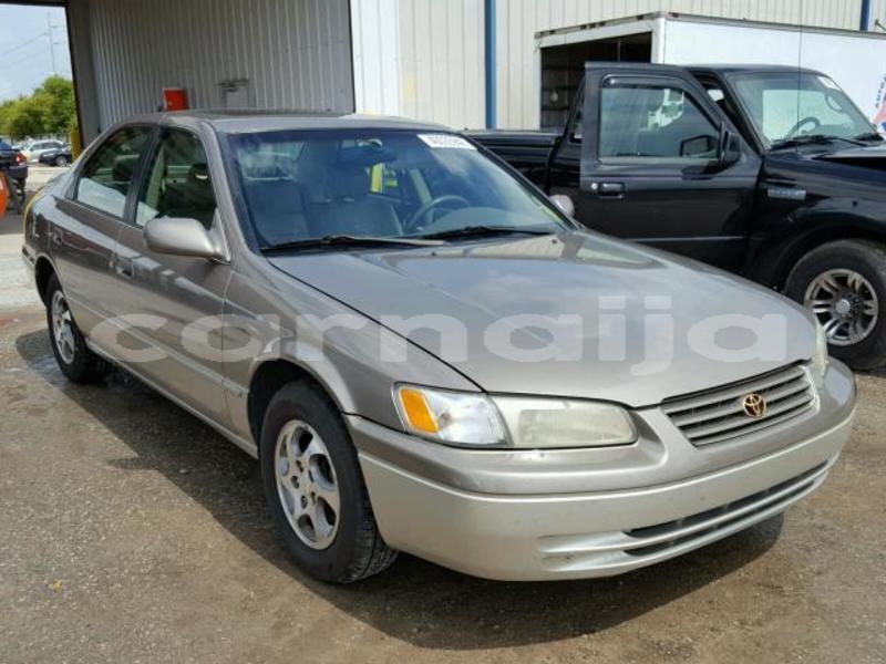 Big with watermark a66c79fd 73d7 4f54 930f 4511a69cadfe