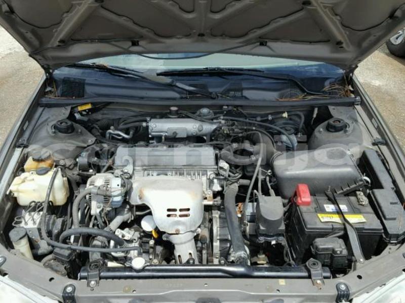 Big with watermark 0f976be9 24fe 4633 bfce 4854c106dcb4