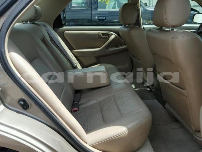 Big with watermark 4101d1d2 ff3e 44bc bb8d 3d84ec2aad60