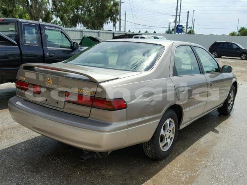 Big with watermark 0ef3ebb5 9900 4b15 87c6 6e839f99b2f4