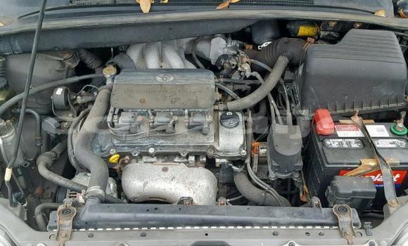 Acheter Import Voiture Toyota Sienna Autre à Lagos, État de Lagos Acheter Import Voiture Toyota Sienna Autre à Lagos, État de Lagos