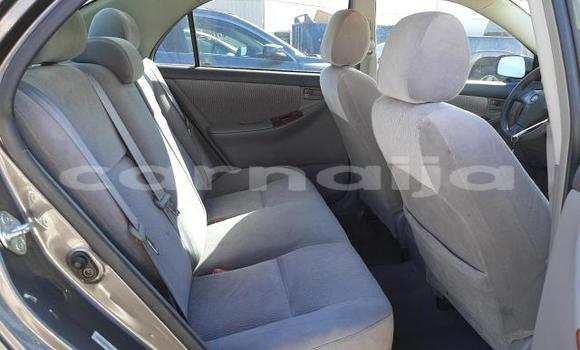 Buy New Toyota Corolla Blue Car in Badagry in Lagos State Buy New Toyota Corolla Blue Car in Badagry in Lagos State