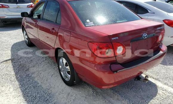 Buy New Toyota Corolla Red Car in Badagry in Lagos State Buy New Toyota Corolla Red Car in Badagry in Lagos State