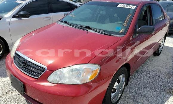 Buy New Toyota Corolla Red Car in Badagry in Lagos State Buy New Toyota Corolla Red Car in Badagry in Lagos State