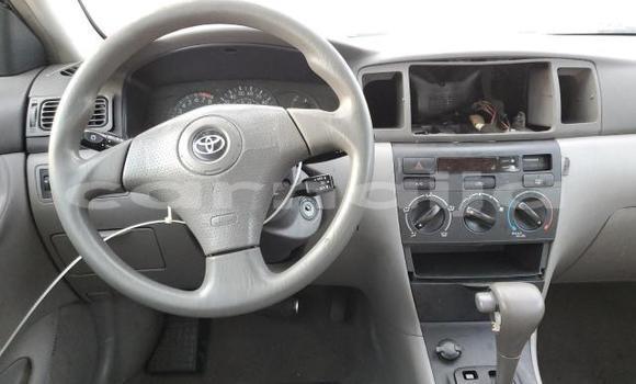 Buy New Toyota Corolla Red Car in Badagry in Lagos State Buy New Toyota Corolla Red Car in Badagry in Lagos State