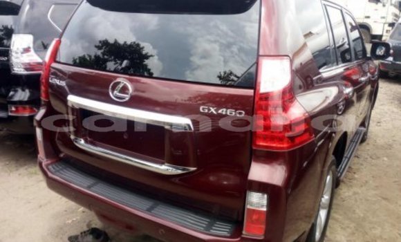 Acheter Import Voiture Lexus GX Autre à Angware, État du Plateau Acheter Import Voiture Lexus GX Autre à Angware, État du Plateau