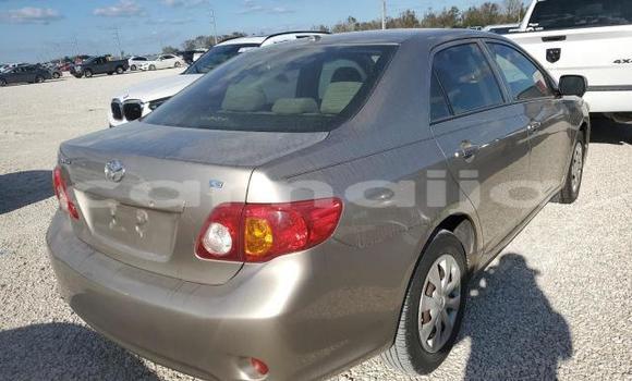 Buy New Toyota Corolla Brown Car in Badagry in Lagos State Buy New Toyota Corolla Brown Car in Badagry in Lagos State