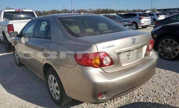 Buy New Toyota Corolla Brown Car in Badagry in Lagos State Buy New Toyota Corolla Brown Car in Badagry in Lagos State