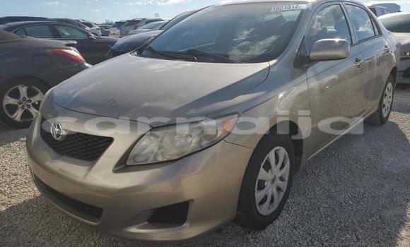Buy New Toyota Corolla Brown Car in Badagry in Lagos State Buy New Toyota Corolla Brown Car in Badagry in Lagos State