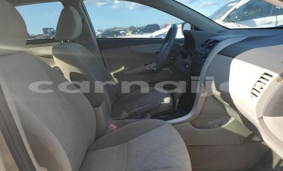 Buy New Toyota Corolla Brown Car in Badagry in Lagos State Buy New Toyota Corolla Brown Car in Badagry in Lagos State