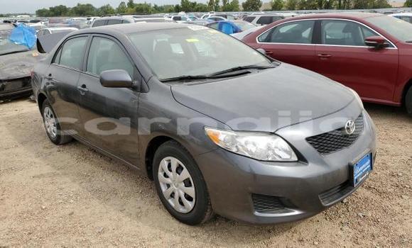 Buy New Toyota Corolla Other Car in Badagry in Lagos State