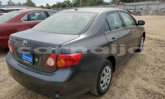 Buy New Toyota Corolla Other Car in Badagry in Lagos State Buy New Toyota Corolla Other Car in Badagry in Lagos State