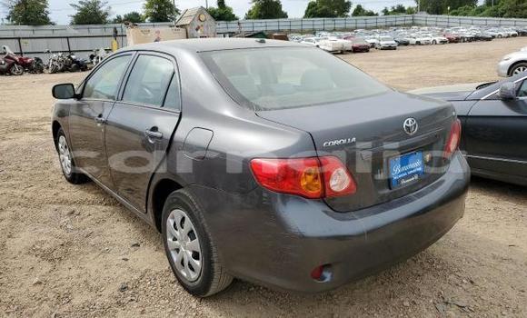 Buy New Toyota Corolla Other Car in Badagry in Lagos State Buy New Toyota Corolla Other Car in Badagry in Lagos State