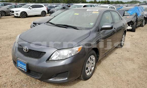 Buy New Toyota Corolla Other Car in Badagry in Lagos State Buy New Toyota Corolla Other Car in Badagry in Lagos State