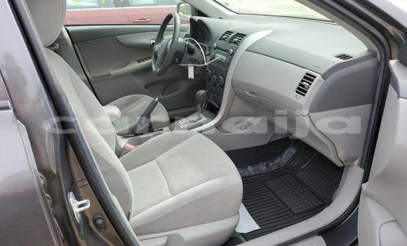 Buy New Toyota Corolla Other Car in Badagry in Lagos State Buy New Toyota Corolla Other Car in Badagry in Lagos State