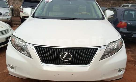 Buy Import Lexus RX 350 White Car in Daura in Katsina Buy Import Lexus RX 350 White Car in Daura in Katsina