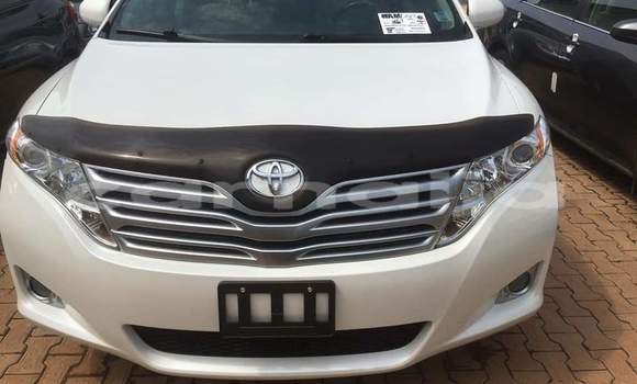 Buy Import Toyota Venza White Car in Daura in Katsina