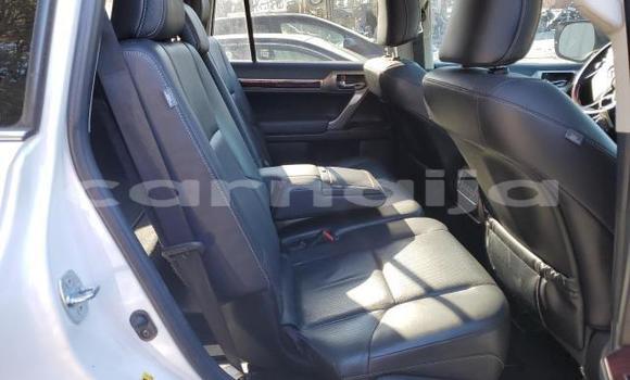 Acheter Occasion Voiture Lexus GX Blanc à Lagos, État de Lagos Acheter Occasion Voiture Lexus GX Blanc à Lagos, État de Lagos