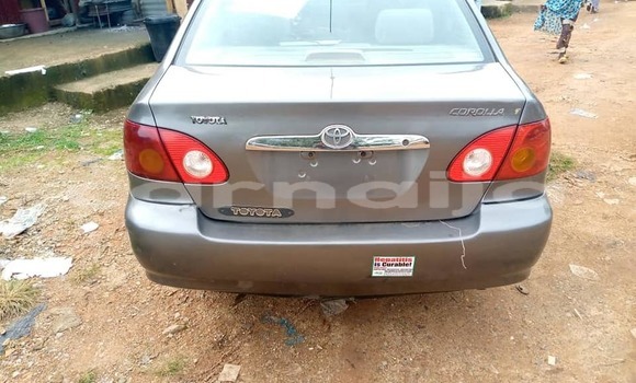 Acheter Occasion Voiture Toyota Corolla Autre à Suleja, Niger Acheter Occasion Voiture Toyota Corolla Autre à Suleja, Niger